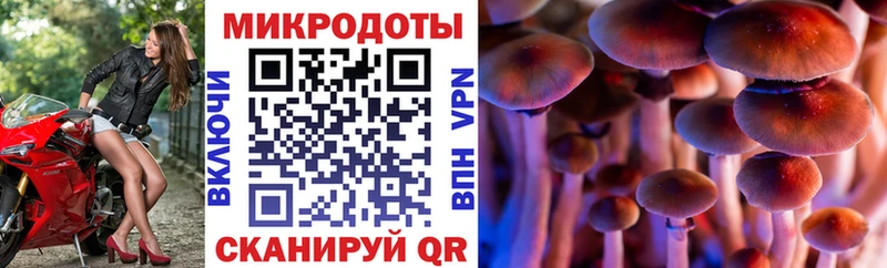 Псилоцибиновые грибы Psilocybine cubensis  маркетплейс формула  Усть-Кут  OMG  